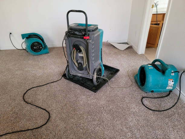Water damage restoration mold remediation in Sky Valley, CA