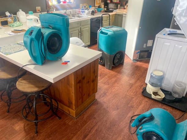Best Water damage restoration experts  in Sky Valley, CA