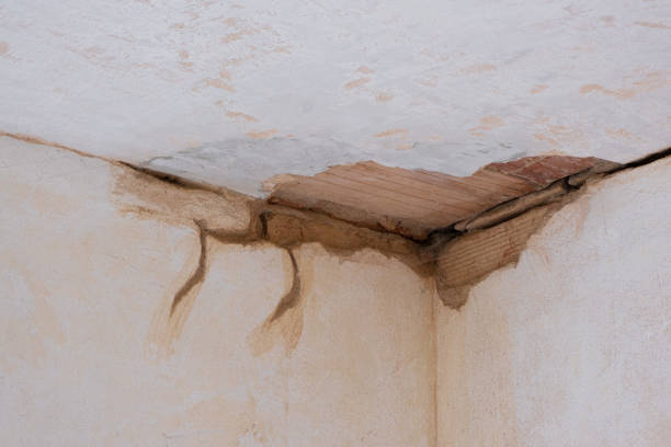Local water damage restoration in Sky Valley, CA