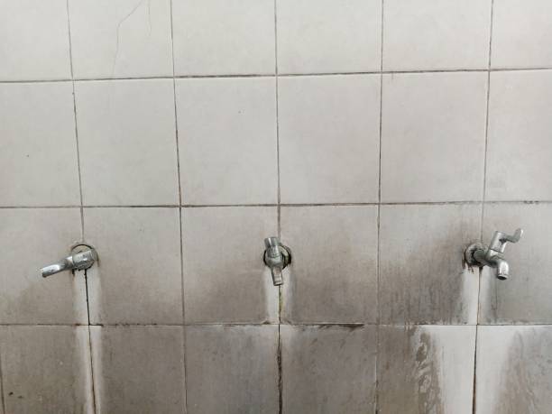 Best Water damage restoration near me  in Sky Valley, CA