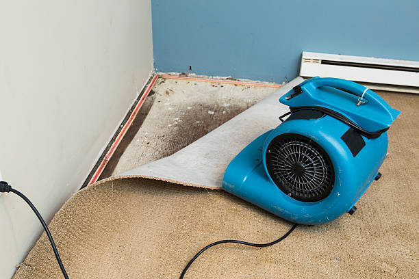 Best Emergency water damage restoration  in Sky Valley, CA